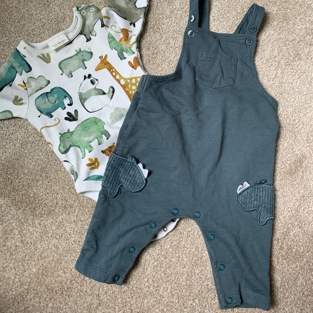 Next direct Dungarees/bodysuit